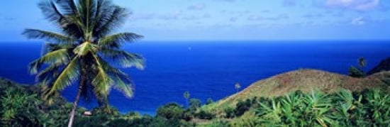 Pigeon Point Tobago Canvas Art - Panoramic Images (36 x 12)