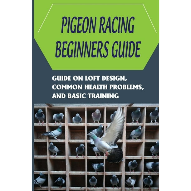 Pigeon Racing Beginners Guide Guide On Loft Design, Common Health Problems, And Basic Training