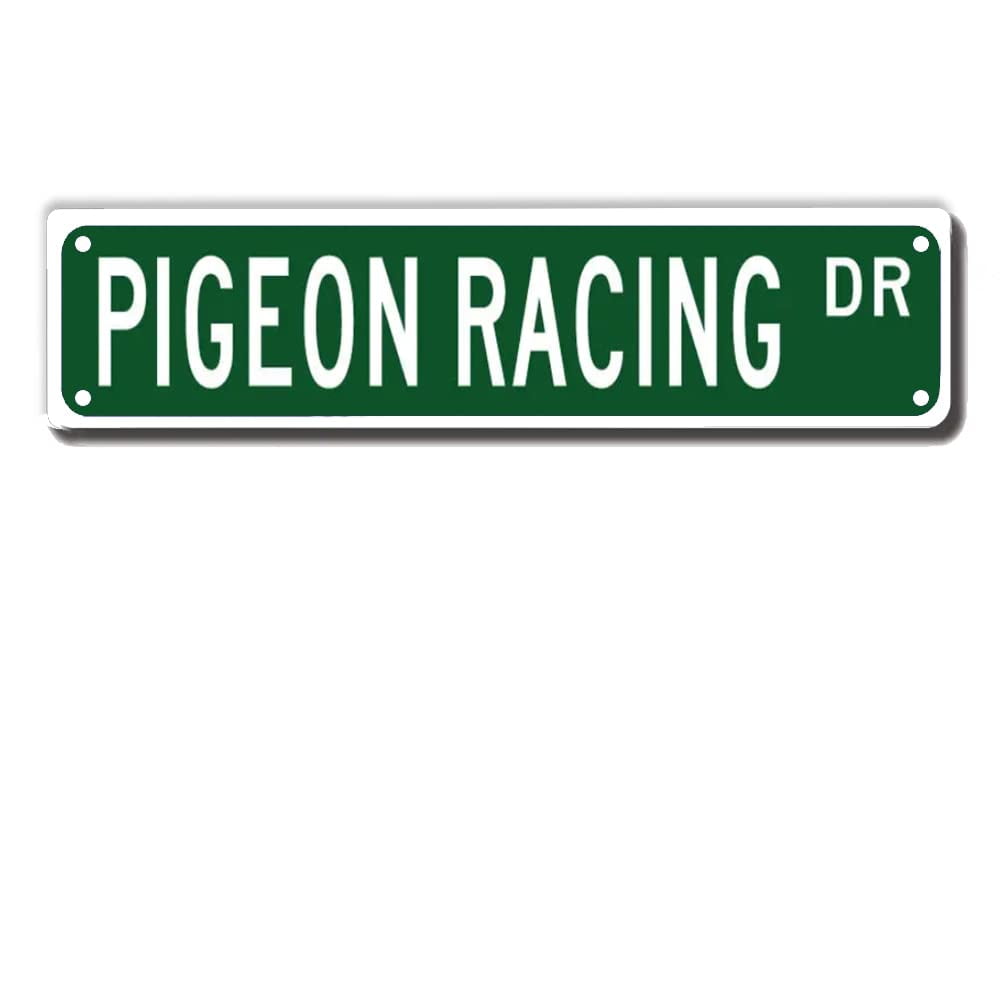 Pigeon Racing Dr Street Sign, Pigeon Racing Gift, Pigeon Racing Wall ...