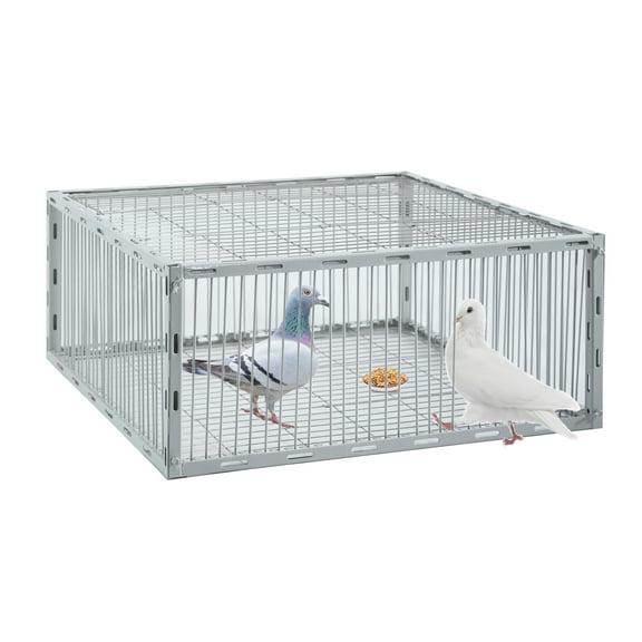 SorenCut Iron Pigeon Trap Cage with One-Way Entry, Escape-Proof Design, Anti-Rust Paint, Off-White