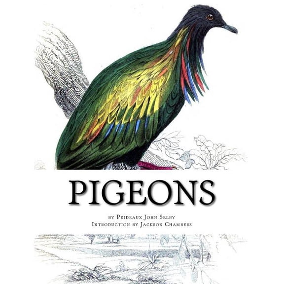 Pigeons