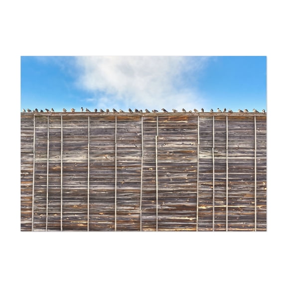 Pigeons By The Freeway - Photography Bird Minimalist Rustic Architecture Nature Woodland Rural Unframed Wall Art Print 4 x 6 inches