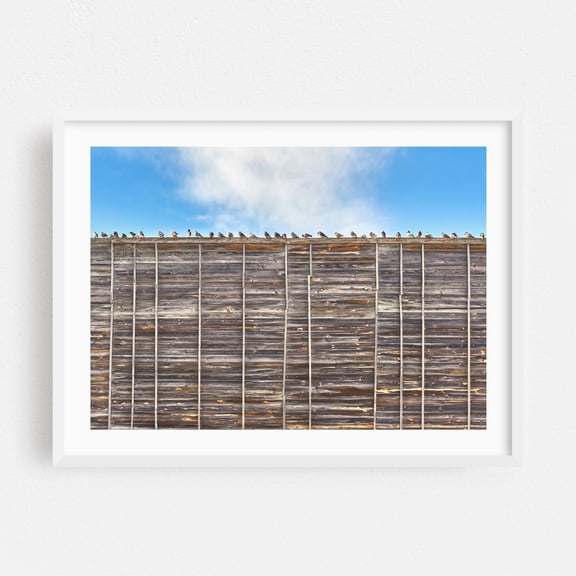 Pigeons By The Freeway - Photography Bird Minimalist Rustic Architecture Nature Woodland Rural White Framed Wall Art Print 5 x 7 inches