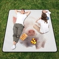 thumbnail image 1 of Piggy Pig Beach Blanket Outdoor Picnic Blanket 78"x 78" Waterproof Foldable for Beach Camping Travel Hiking Grass Lawn Park, 1 of 5