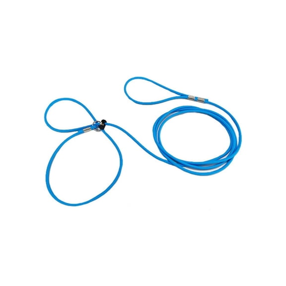 Piggy Poo and Crew Blue Adjustable Pet Harness and Leash, 12 ft.