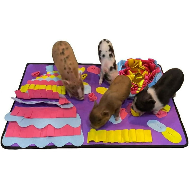 Piggy Poo and Crew Pet Snuffle Activity Mat Toy, Large, Pack of 3
