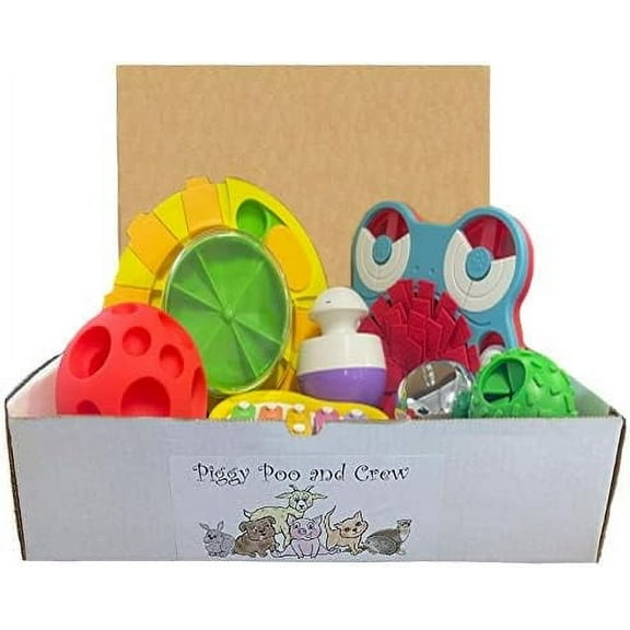 Piggy Poo and Crew Pet Game Box - Mini Pig Box - Dog Box - Gift Box