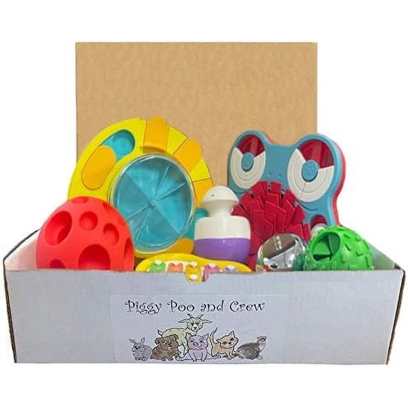 Pet Game Box - Mini Pig Box - Dog Box - Gift Box (Blue and Yellow Game)
