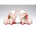 thumbnail image 1 of Piggy  Salt & Pepper Shaker, 1 of 1