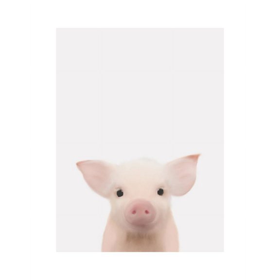 Piglet Gray Poster Print by Leah Straatsma (24 x 36) # LSRC008N