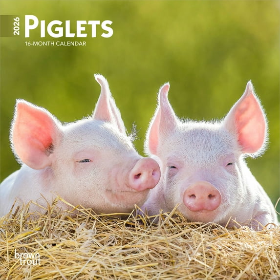 Piglets | 2026 7x14" (Hanging) Monthly Mini Wall Calendar | BrownTrout
