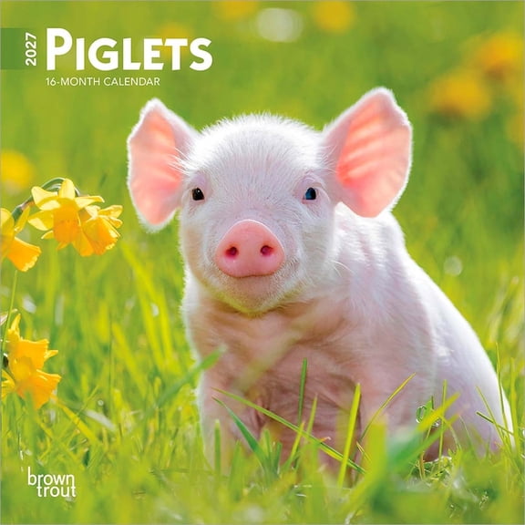 Piglets 2027 7 X 14 Inch (Hanging) Monthly Mini Wall Calendar, (Paperback)