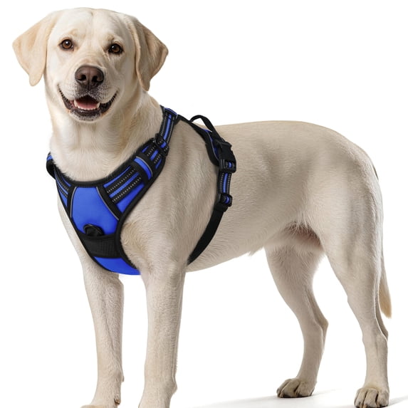 Pigo Dog Harness No Pull Pet Harness with 2 Leash Clips, Adjustable Soft Padded Dog Vest, No Choke Reflective Outdoor Pet Oxford Vest with Easy Control Handle for Large Dogs, Dazzling Blue