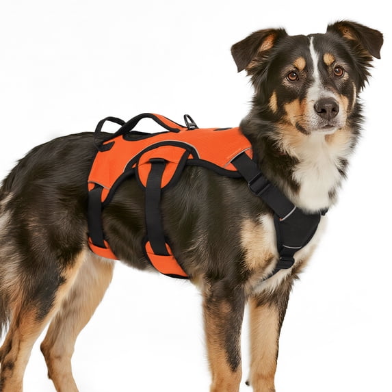 Pigo Escape Proof Dog Harness, Soft Padded Full Body Pet Harness, Reflective Adjustable No Pull Vest with Lift Handle and Lesh Clip for Large Dogs Walking Hiking Training, Orange