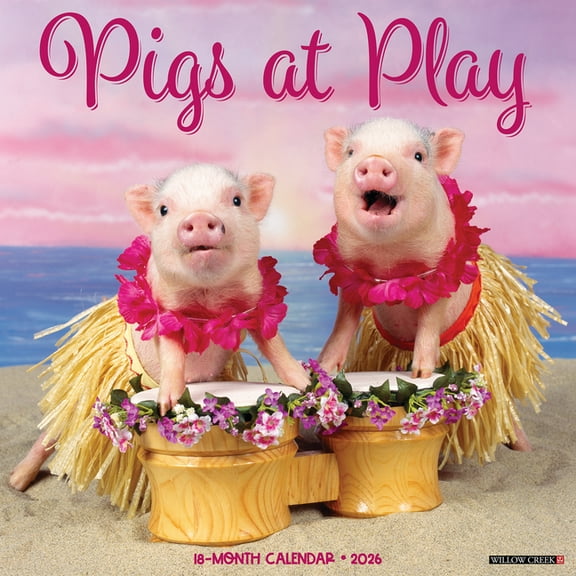 Pigs at Play 2026 Wall Calendar, (Paperback)