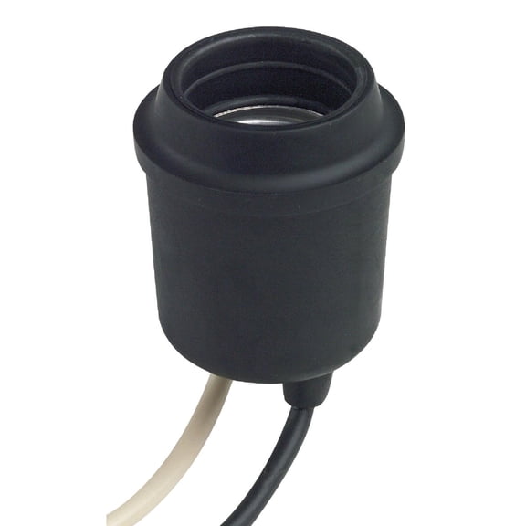 Pigtail Lampholder