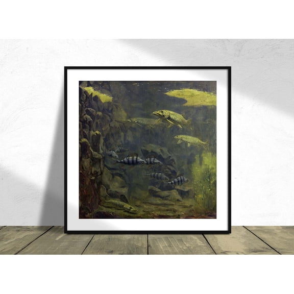 Pike And Perch In An Aquarium Gerrit Willem Dijsselhof Square Poster Retro Reproduction Art, Unframed Paper Poster 8x10in