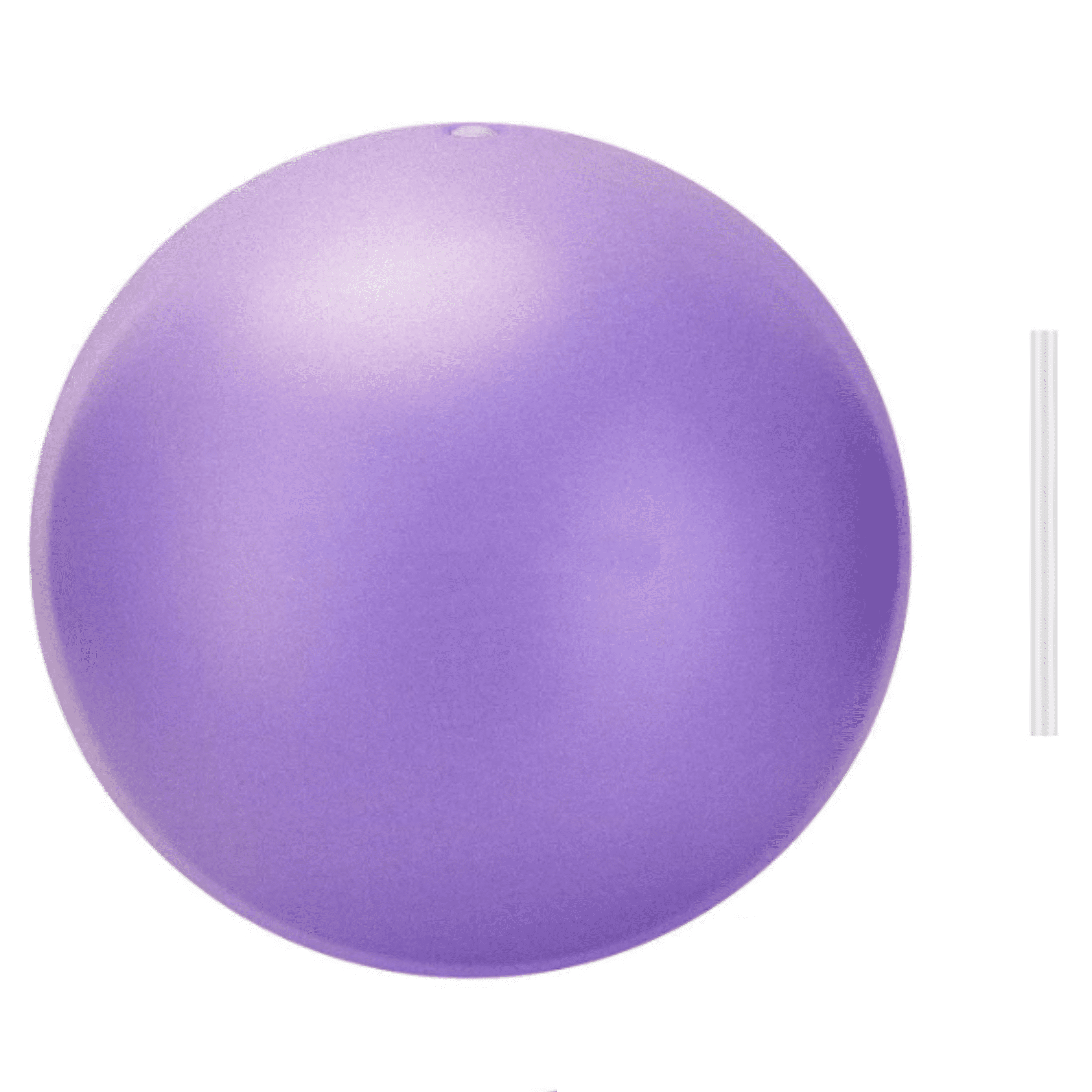 Pilates Ball, 9,8 Inch Small Exercise Mini Soft Workout Yoga Ball, for ...