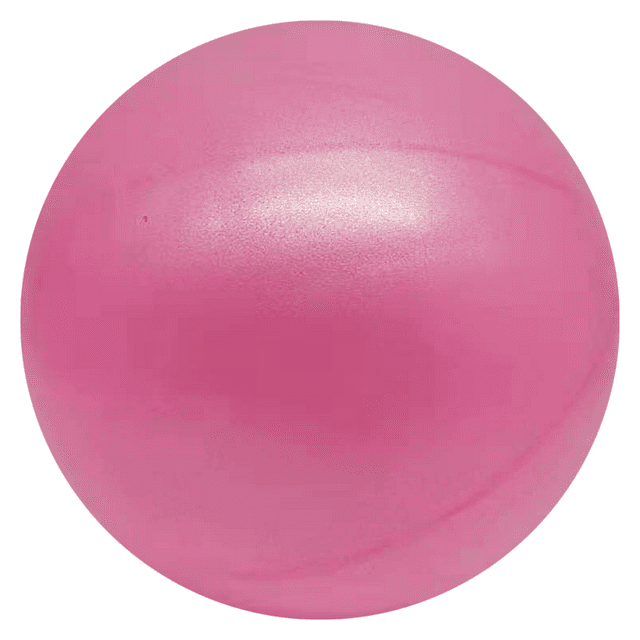Pilates Ball Core Ball, Small Exercise Ball with Exercise Guide Barre ...