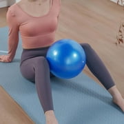 Pilates Ball Yoga Ball 10 Inch Small Exercise Ball for Between Knees Mini Yoga Ball for Pregnancy Balance Ball Anti-Burst