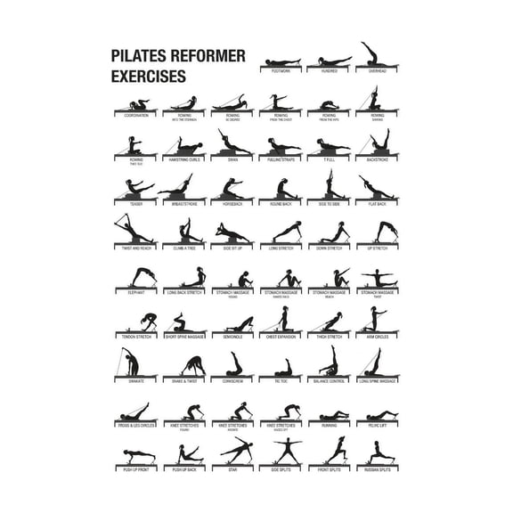Pilates Reformer Exercise Chart Poster Movement Guide Illustrated Workout Reference for Home Gym Studio Wall Decor