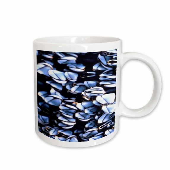 3drose, Pile of Barnacles, 11oz Mug
