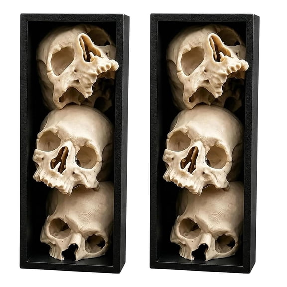 Pile of Skulls Book Nook, Gothic Skull Bookshelf Insert, 3 Tier Stacked Skulls Sculpture with Black Frame, Academia Spooky Decor for Bookshelf Halloween Living Room Study (1PC)