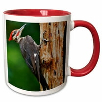 3drose, Pileated Woodpecker Bird, Louisville, Kentucky - Us18 Aje0262 - Adam Jones, 11oz Two-tone Red Mug