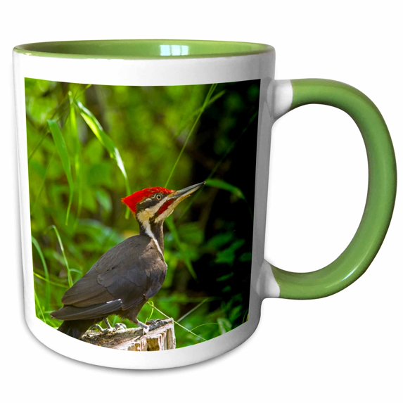 3drose, Pileated Woodpecker Bird, Whitefish, Montana - Us27 Cha2495 - Chuck Haney, 11oz Two-tone Green Mug