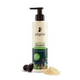 thumbnail image 1 of Pilgrim Patuá & Keratin Hair SMOOTHENING SHAMPOO for Dry & Frizzy hair 200 ml pack of 2, 1 of 5