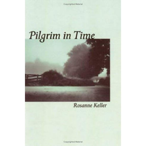 Pre-Owned Pilgrim in Time: Mindful Journeys to Encounter the Sacred (Paperback) 0814630332 9780814630334