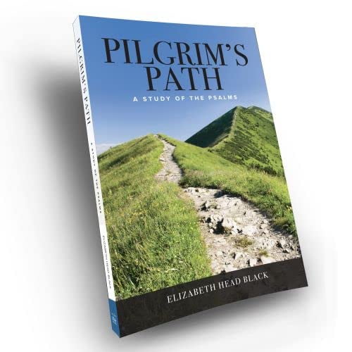 Pre-Owned Pilgrim's Path: A Study of the Psalms (Paperback) 1942243545 9781942243540