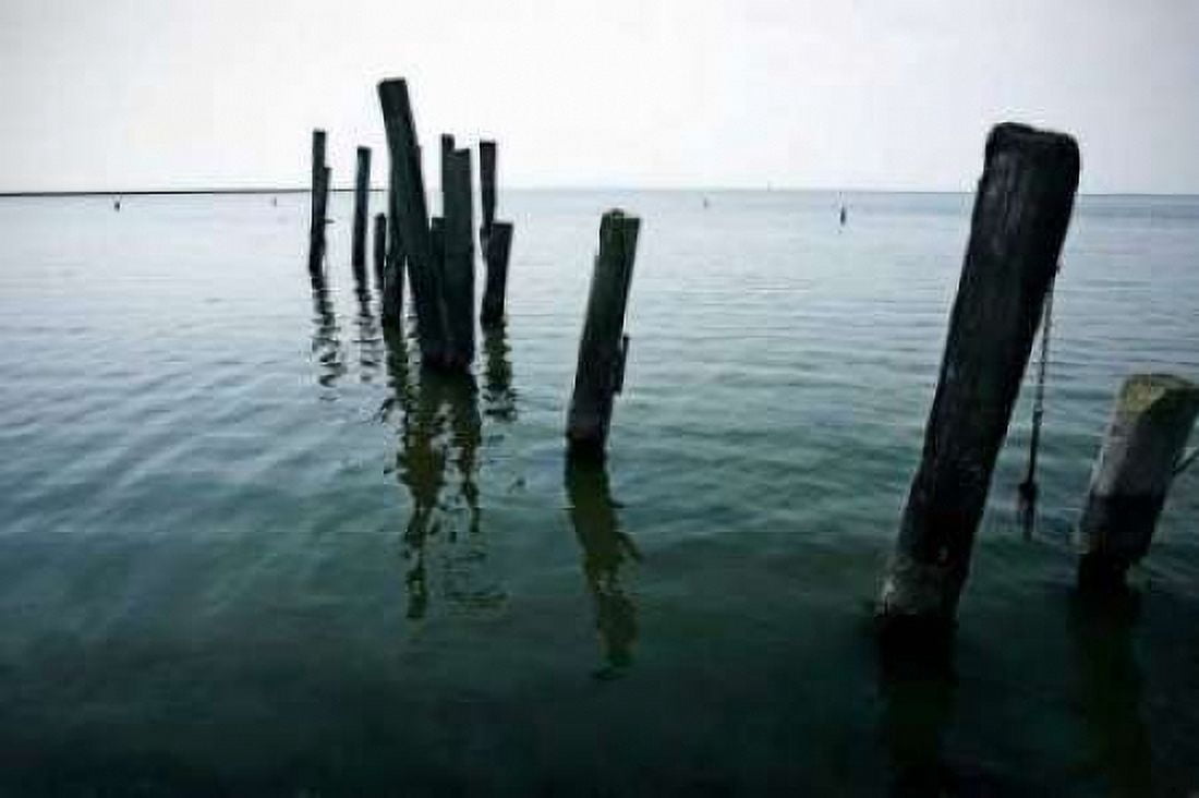 Pilings I Canvas Art - Alan Hausenflock (12 x 18)