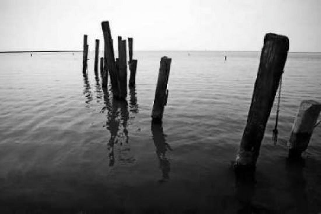 Pilings I Canvas Art - Alan Hausenflock (12 x 18)