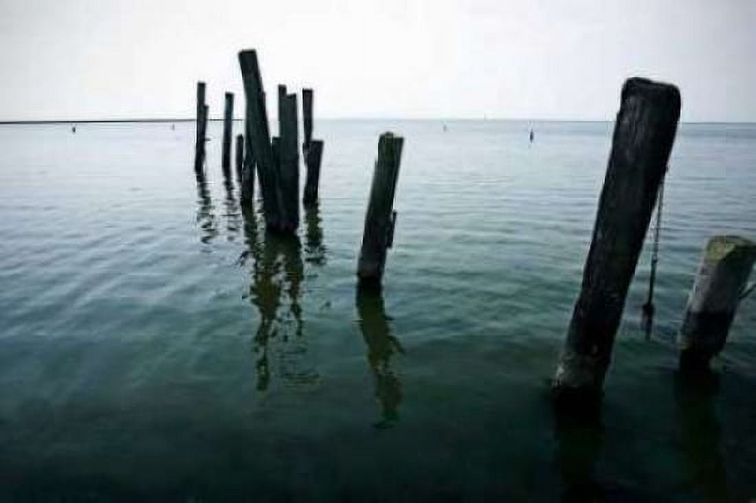 Pilings I Canvas Art - Alan Hausenflock (24 x 36)