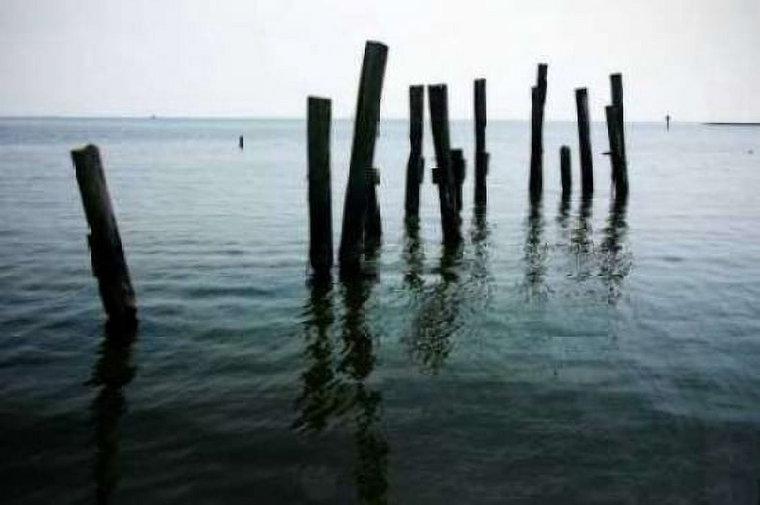 Pilings II Canvas Art - Alan Hausenflock (24 x 36)