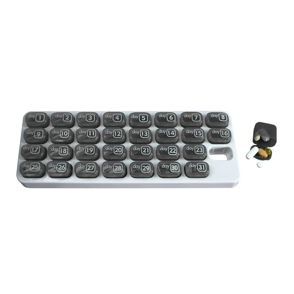 Pill Thing 31 Day Monthly Gray Pill Organizer Pods