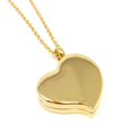 thumbnail image 1 of Pill Thing Amour Heart Medication Pill Necklace Stainless Steel, Gold, 1 of 10