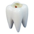 Pillars for Wedding Denture Must Fire Large Tooth Model Natural