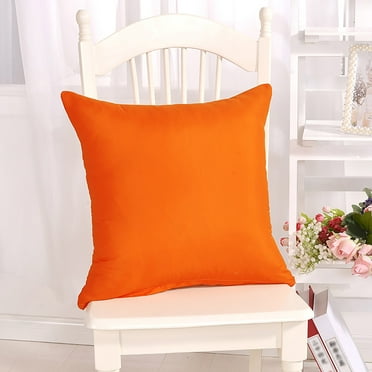 Pillow 18x18 Set of 4 Decorations Indoor Throw Pillows for Home Couch Sofa Bed