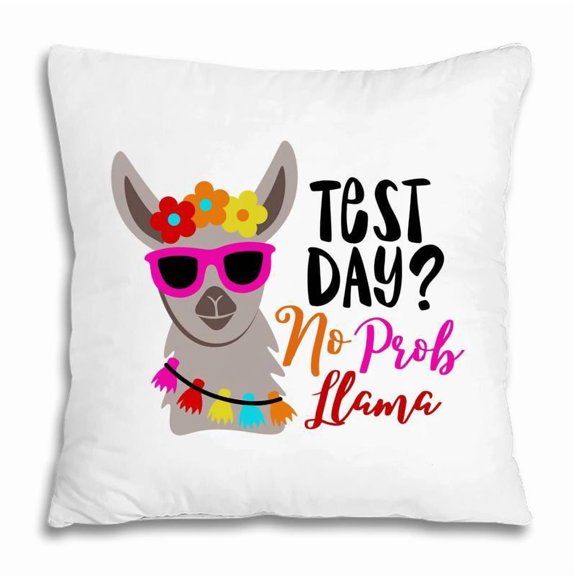 Pillow Cover - Llama Test Day No Prob Llama Girl Graphic Pillow
