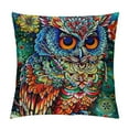 thumbnail image 1 of Pillow Cover Owl Throw Pillow Case Home Decor for Sofa Livingroom Couch Bed Decorative Gift, 1 of 5