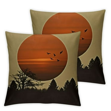 Pillow Covers 18x18 Set of 4, Pillow Covers Stylish Cute Soft Desert Decorative Pillow Cases for Home Bed Sofa Car