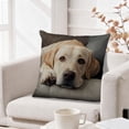 thumbnail image 1 of Pillow Covers, Cute Animals Print Pillow Set Bedroom Living Room Sofa Cushion 45x45 Cm For Sofa Living Room Decoration, 1 of 6