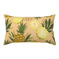 Pillow Covers Natural Pineapple Soft Pillow Cases Standard Size with