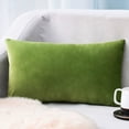 thumbnail image 1 of Pillow Covers, Rectangle Velvet Throw Pillow Cover Colour Waist Pillow Cushion Green, 1 of 6