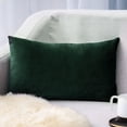 thumbnail image 1 of Pillow Covers, Rectangle Velvet Throw Pillow Cover Colour Waist Pillow Cushion Green, 1 of 6