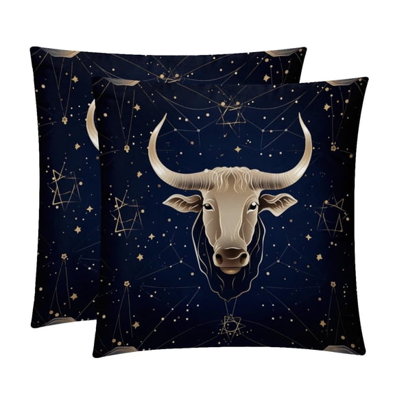 Pillow Covers Set of 2 with Unique Patterns | Chair Pillow Covers in 16x16, 18x18, 20x20 inches | Pillow Inserts Included |for Every Occasion