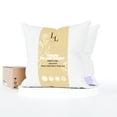 thumbnail image 1 of Pillow Forms 14x14 inch Set of 2 Throw Pillow Inserts with Hypoallergenic Filling - Made in USA Throw Pillow Insert by Looms and Linens, 1 of 11