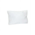 thumbnail image 1 of Pillow Insert 15"x24" Set of 2, 1 of 1